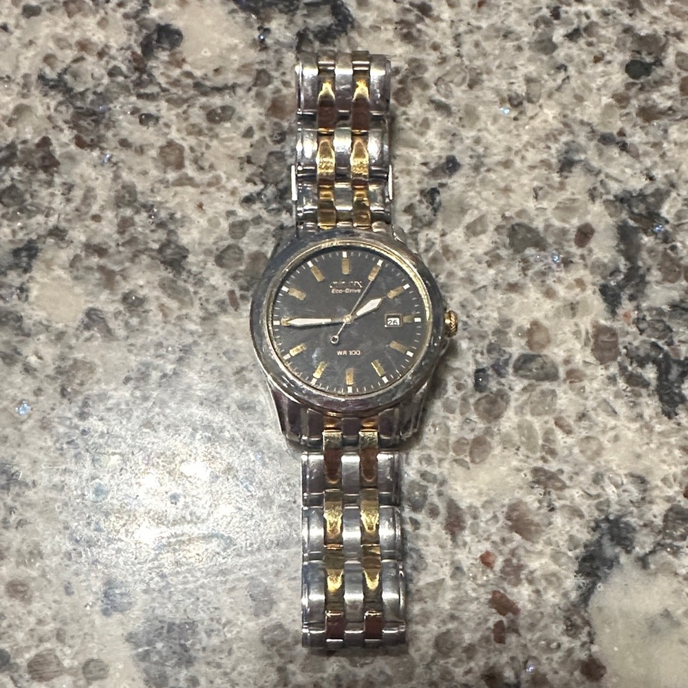 Citizen Black and Gold Men's Watch